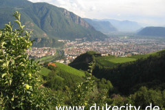 137_3726_9035957394_o