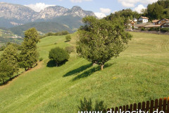 matze-20060720_164430_9076249592_o
