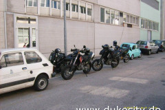 norbert-0018_9076246682_o