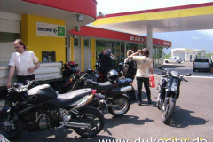 norbert-0028_9074016477_o