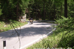 norbert-0034_9076246316_o