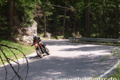 norbert-0041_9074016139_o