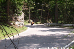 norbert-0053_9074015993_o