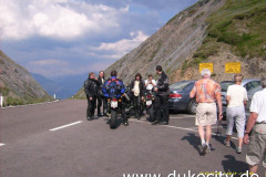 norbert-0056_9074015857_o