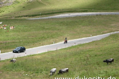 bild-078_9078872188_o