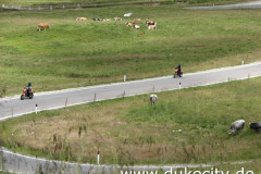 bild-079_9076645171_o