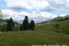 p1020133_9076639777_o