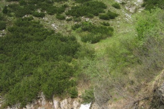 manivagesperrt_9083576532_o