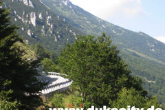 20090806_160636_ab_9081472923_o