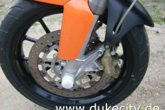 213_norbert-3_8975286676_o_650x488