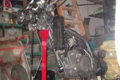 222_patrick_zimmermann3_8974120529_o_367x550