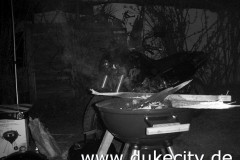 226_schockwebs1_8975280250_o_650x488