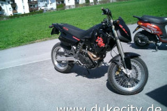 227_schockwebs2_8975279028_o_650x488