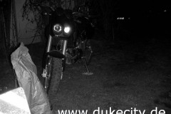 230_schockwebs5_8974087153_o_650x488