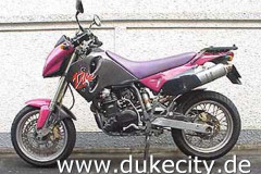 49_duke_pink1_8975299528_o_550x394