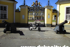 285_arne-mester3_8974222749_o_800x600