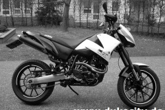 498_roman-muehl-1_8974209163_o_800x600