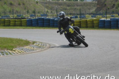 Harzring 2005