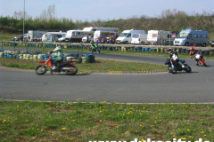 harzring-2008-003_9081274737_o