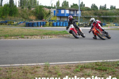 harzring08-004_9081377959_o