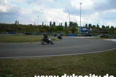 harzring08-014_9083598460_o