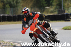 harzring_16_08_08_810_9081377127_o