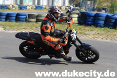 harzring_16_08_08_847_9081374855_o