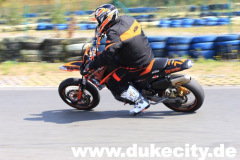 harzring_16_08_08_903_9081372571_o