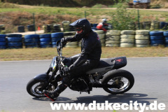 harzring_16_08_08_920_9081372451_o