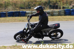 harzring_16_08_08_921_9081372371_o