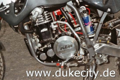 694_012_12a_8974428623_o_550x367
