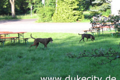 2005_gammel-5_9007242441_o