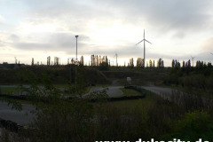 norbert-p1030383_9081134873_o