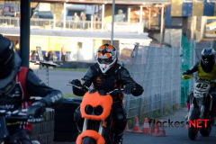 flockes__5311_9083848198_o