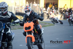 flockes__5330_9081626665_o