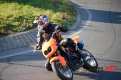 flockes__5354_9081626589_o