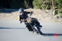 flockes__5489_9083847444_o