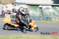 flockes__5735_9083846646_o