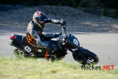 flockes__6173_9083846070_o