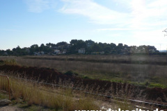 valencia-2007-40735_9081170865_o